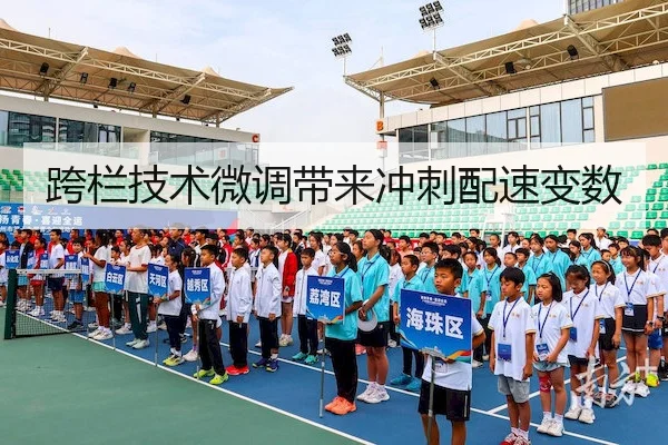 跨栏技术微调带来冲刺配速变数 - 3377 SPORTS